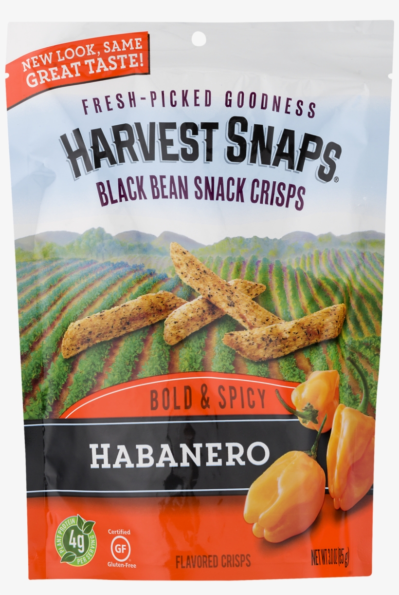 Black Bean Png, transparent png