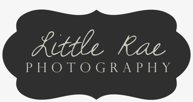 Tracy Maternity Photographer Archives Page 3 Of 3 Little - Britt Nicole Acoustic Ep, transparent png