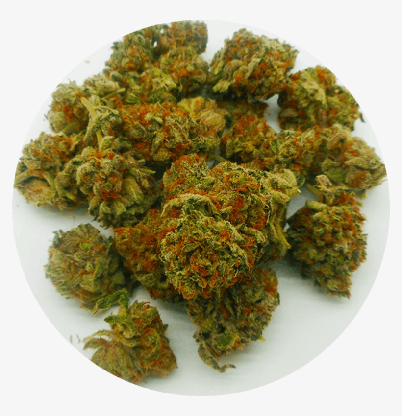 Great Weed North - Quad Of Weed, transparent png