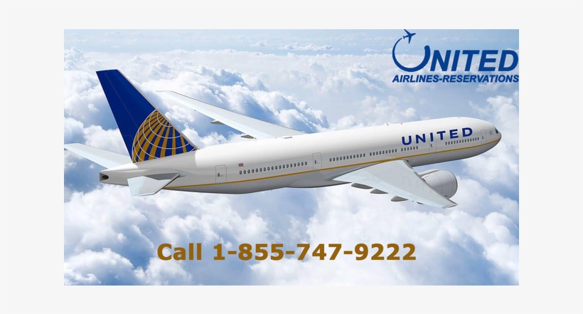 Experience The Nightlife Of Los Angeles With United - Kitdine Travel Bottles Set - Bpa Free Leak Proof Tsa, transparent png