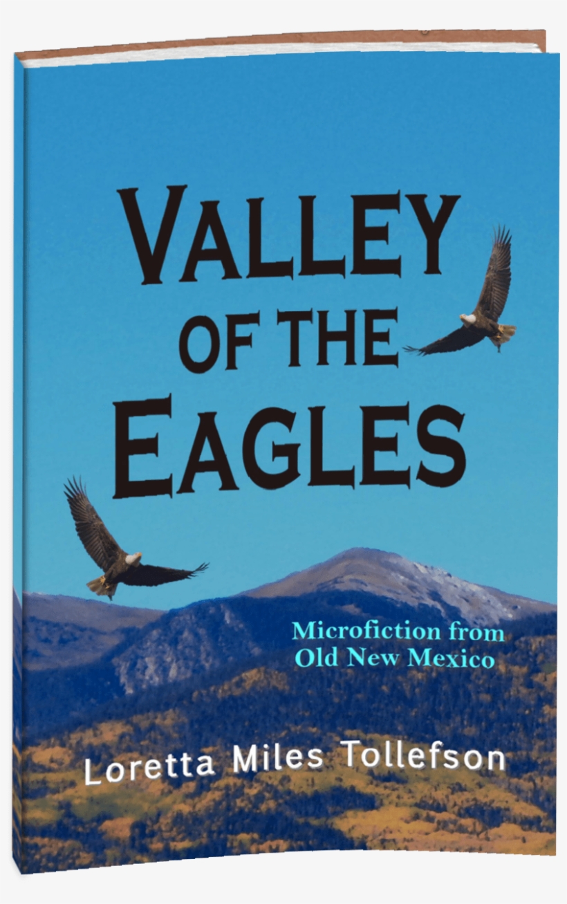 Old Book Cover Png, transparent png