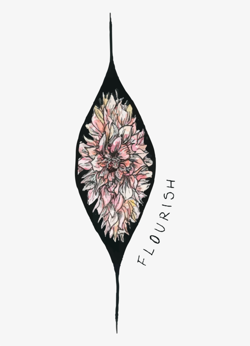 Gallery - Illustration, transparent png