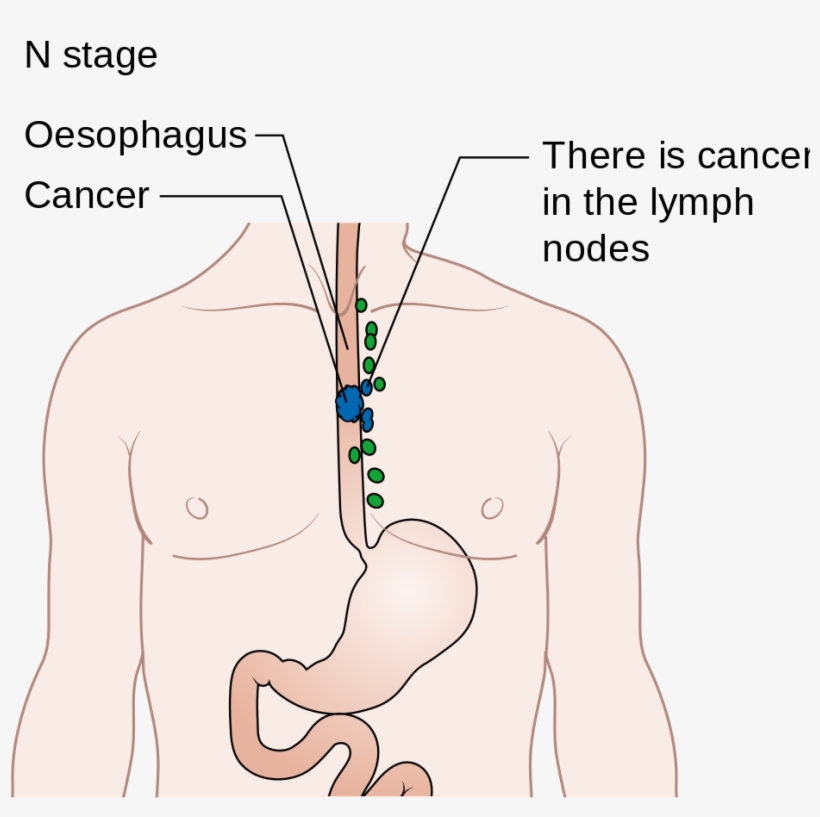 Diagram, transparent png
