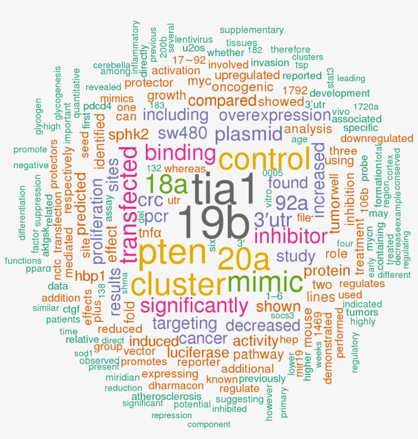 Sort By - Word Cloud In R Studio, transparent png