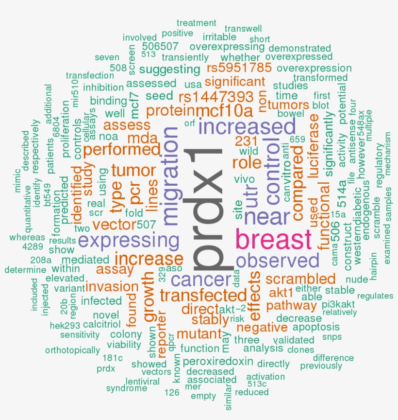 Sort By - Word Cloud Of World Cup Png, transparent png