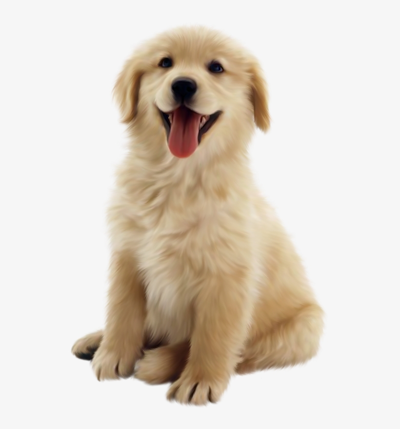 Puppies Galore & More Jacksonville, Florida - Hertzko Long Blade Dog & Cat Dematting Comb, transparent png