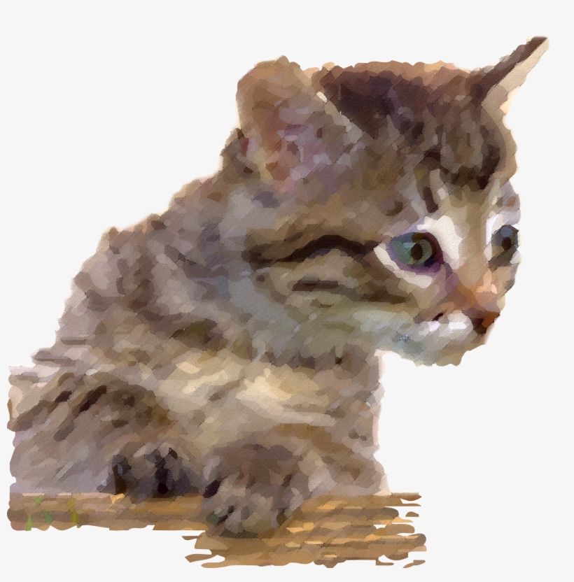 Cat - Zebra Publishing Corp Curious Kittens Calendar 2016, transparent png