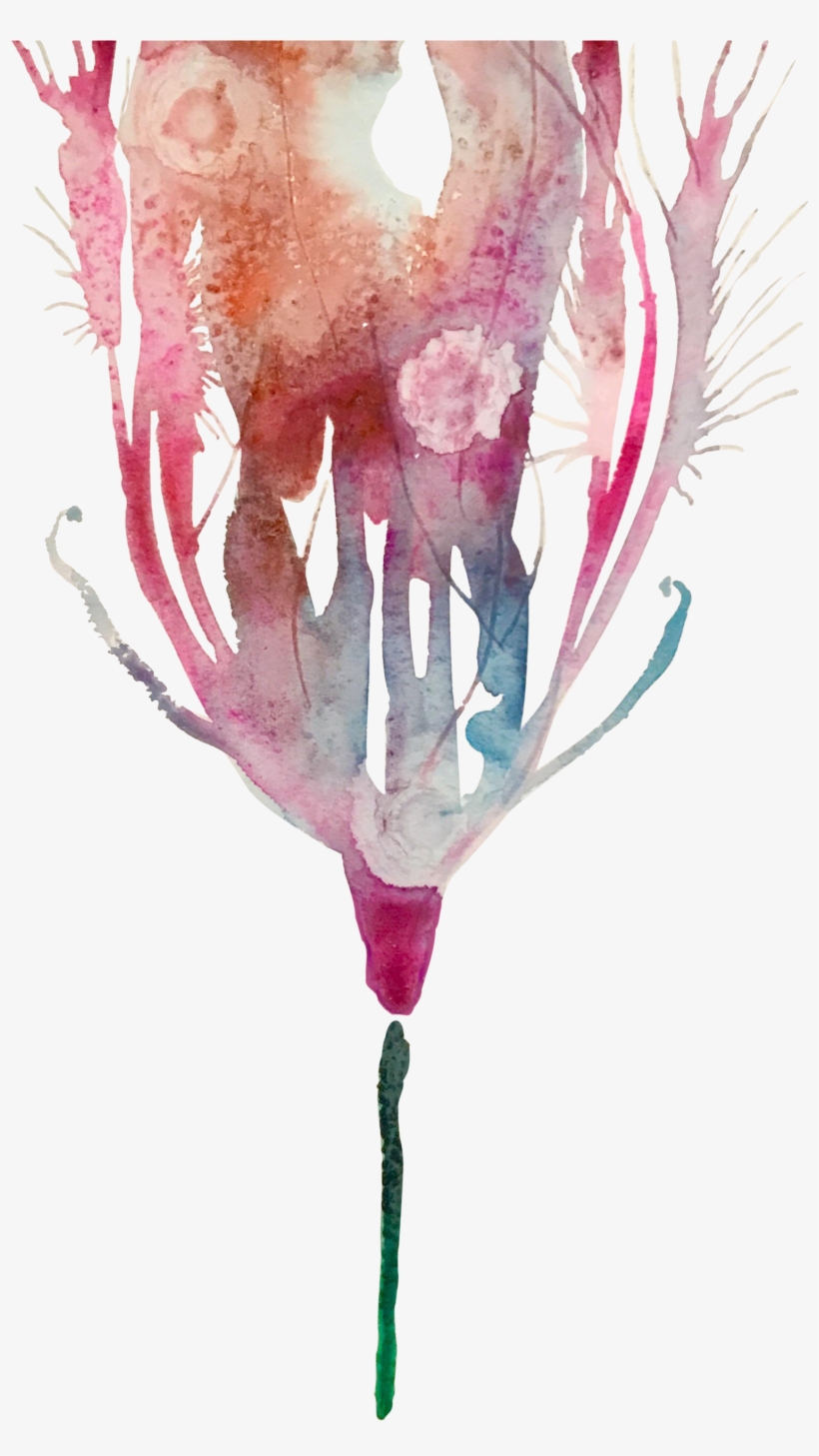 Feather Floral Original Watercolor Painting - Wine Glass, transparent png