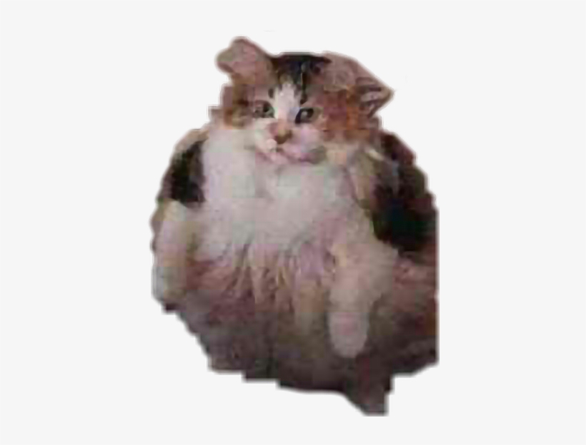 Report Abuse - Bröther May I Have Some Lööps, transparent png