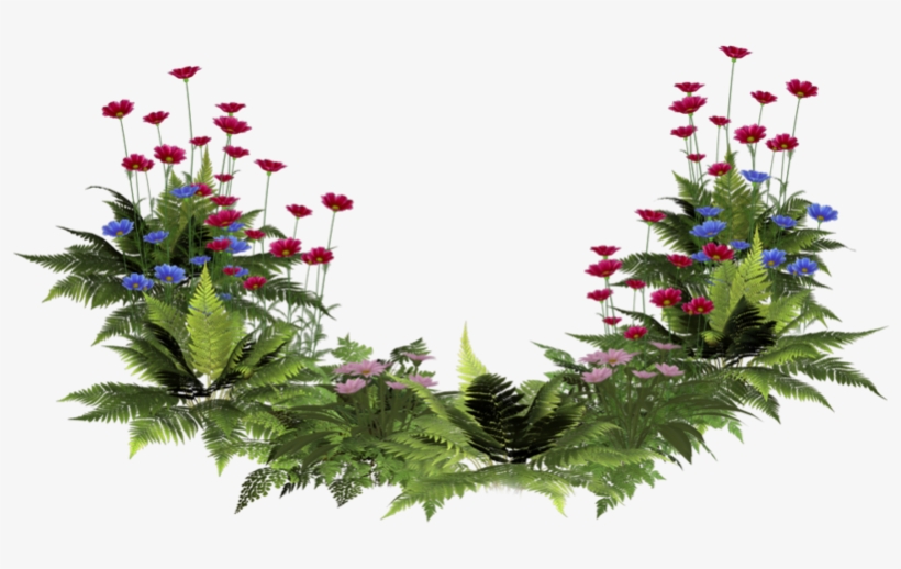 Images House Plants Png - Clip Art, transparent png