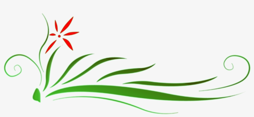 Floral Png Hd - แบค กราว สวย ๆ, transparent png