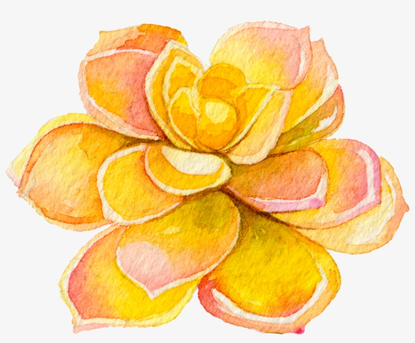 Natural Fertility Support For Any Diagnosis - Watercolor Painting, transparent png