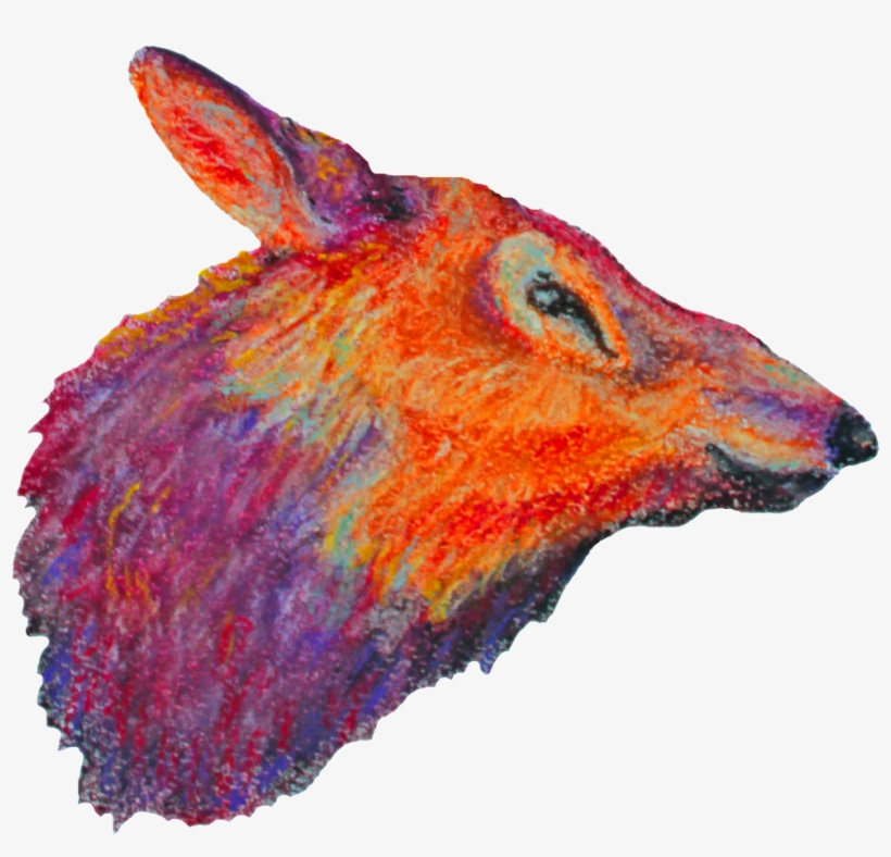 Watercolor Cartoon Animal Decoration Vector - Watercolor Painting, transparent png