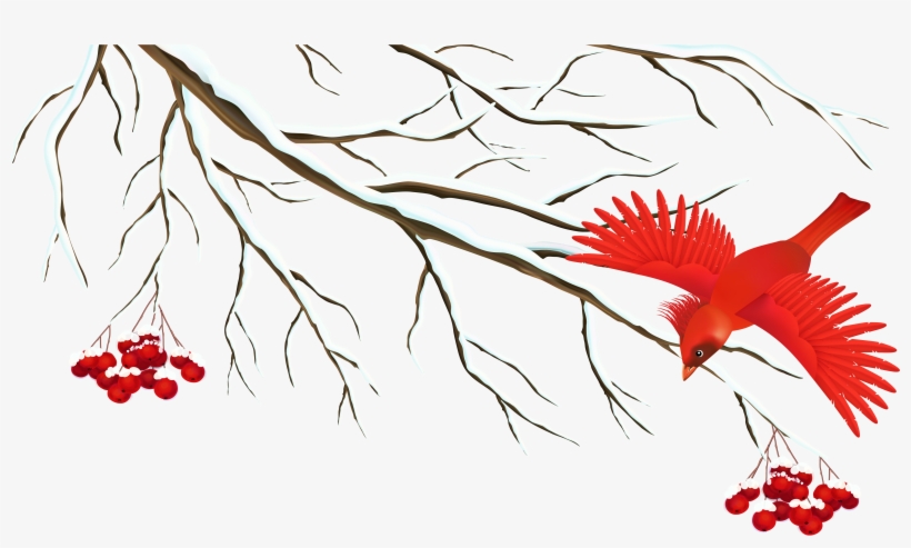 Illustration, transparent png