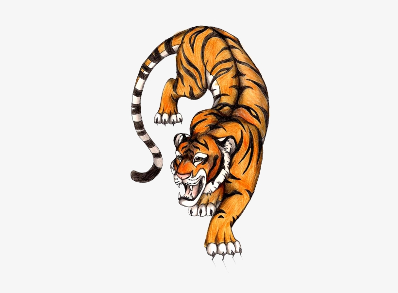 Tiger, transparent png