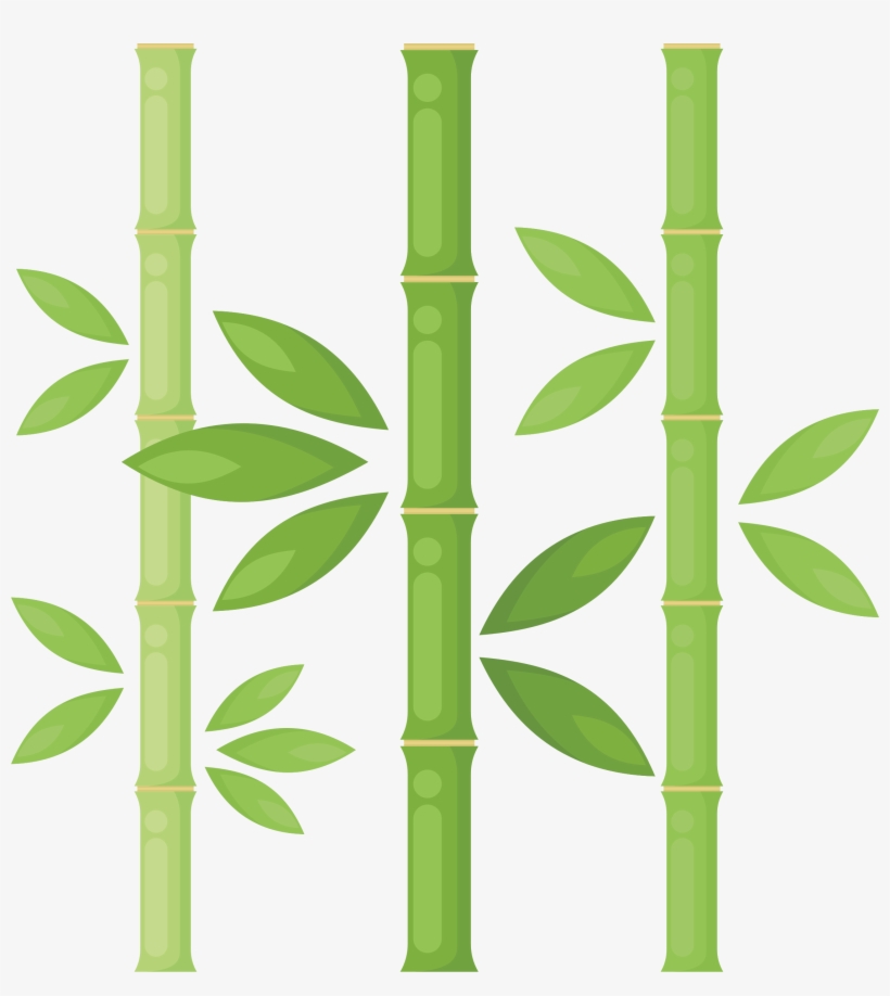 Bamboo Png Library Download - Bamboo Tree Png, transparent png