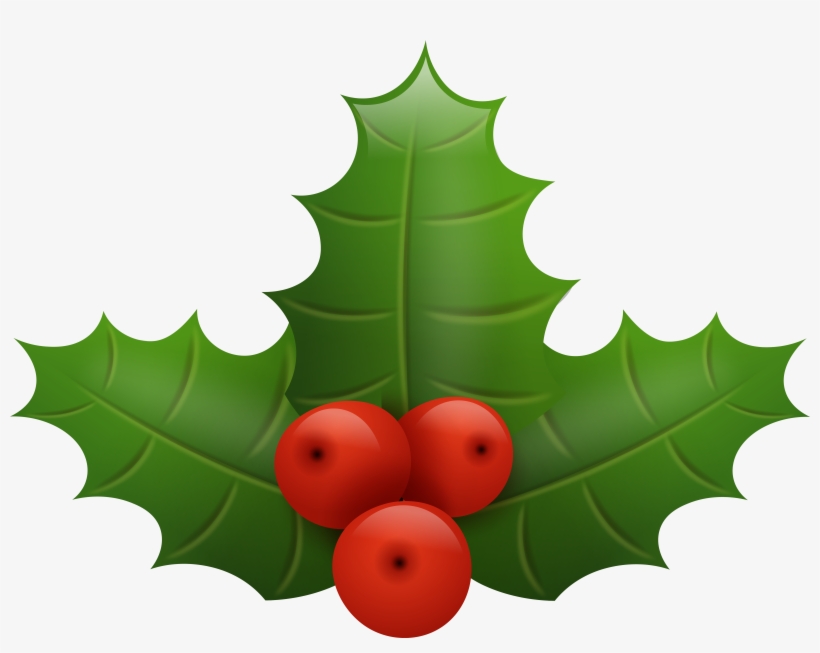 Holly Png, transparent png