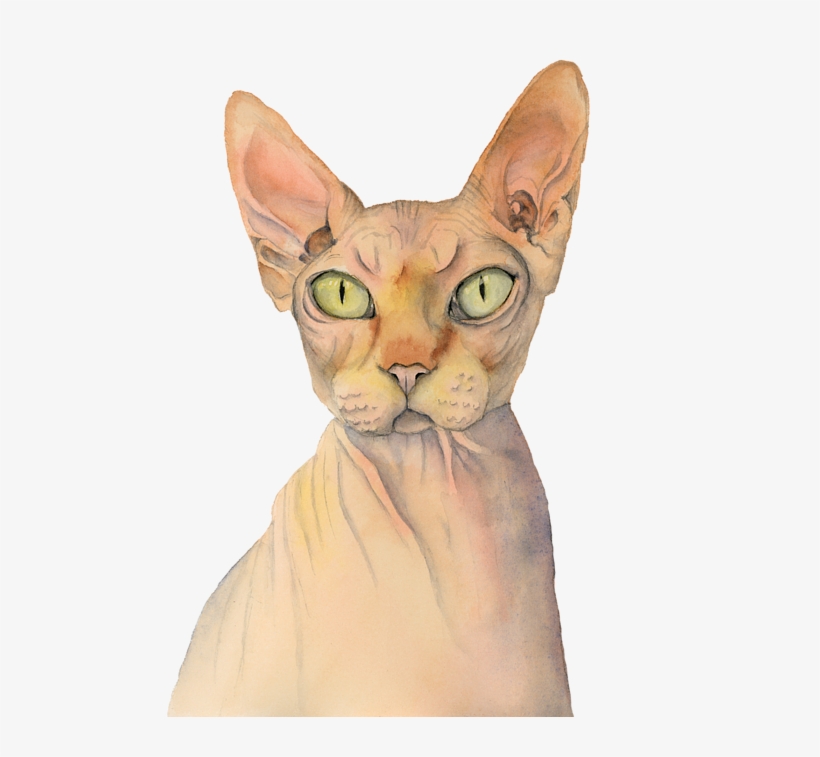 Click And Drag To Re-position The Image, If Desired - Sphynx Katzen-aquarell-porträt Badset, transparent png