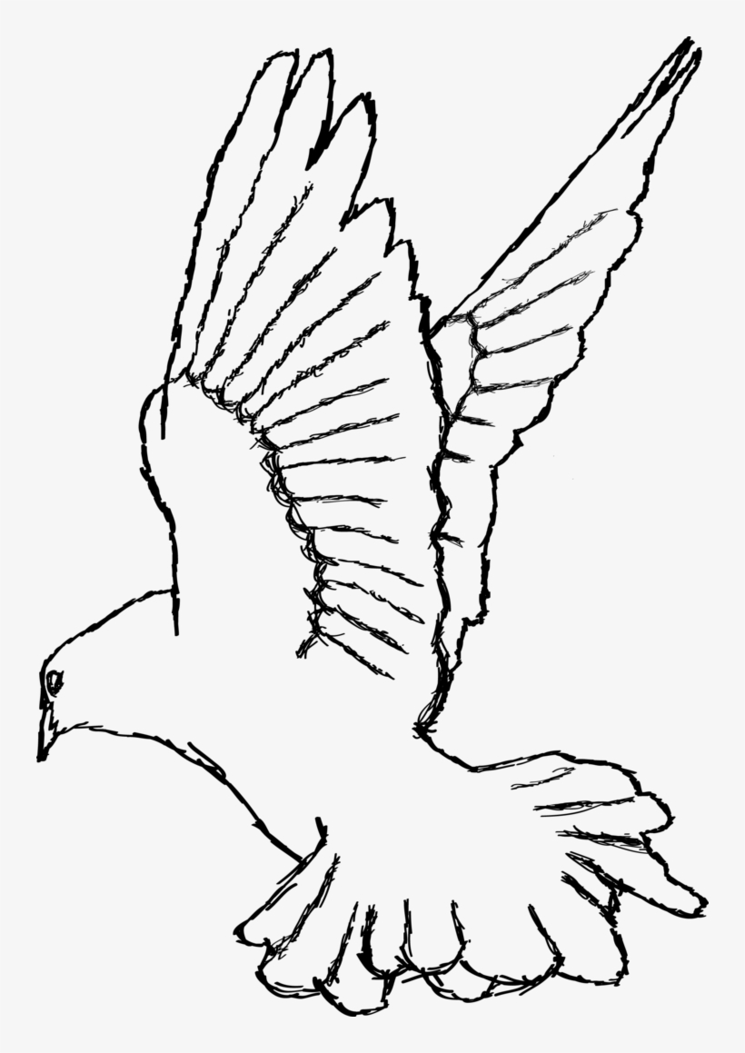 Illustrator - White Dove Drawing Png, transparent png