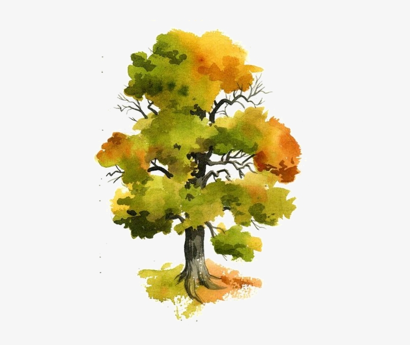 Kanclík - Arboles Pintados Con Acuarela, transparent png