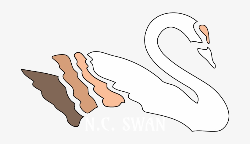 About - North Carolina, transparent png