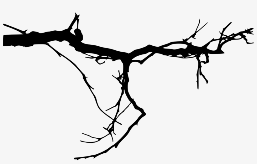Free Png Simple Tree Branch Png Images Transparent - Tree Branches Transparent Background, transparent png