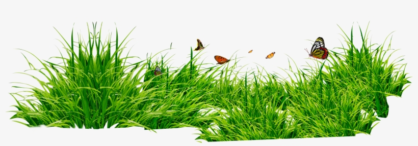 Grass Png Image, Green Grass Png Picture - Grass Png, transparent png