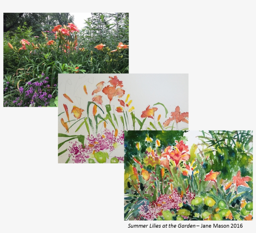 Watercolor And Wine - Rosa Glauca, transparent png