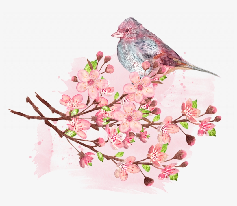 Tips For Cherry Blossom Viewing - Peach, transparent png