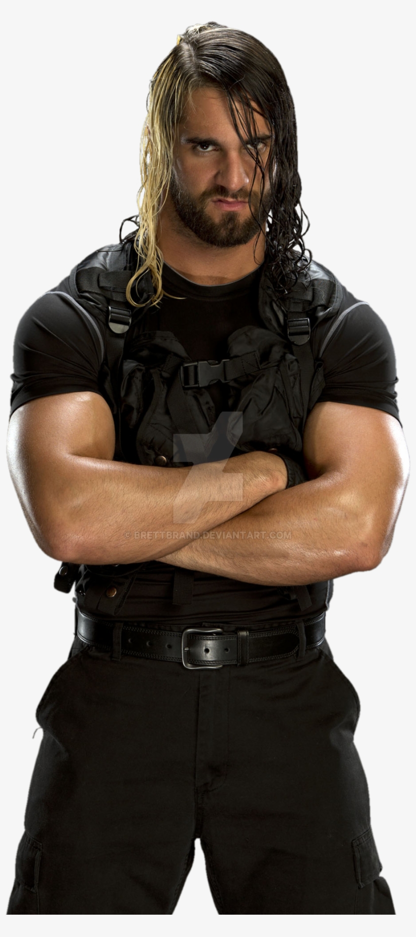 Seth Rollins Free Png Image - Seth Rollins Shield Png, transparent png