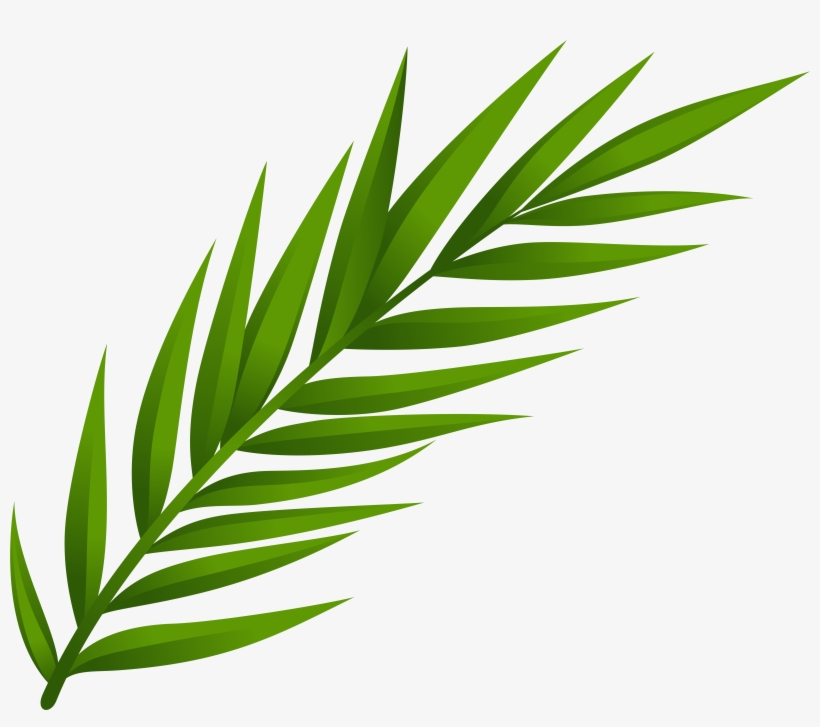 Leaf Png Clip Art, transparent png