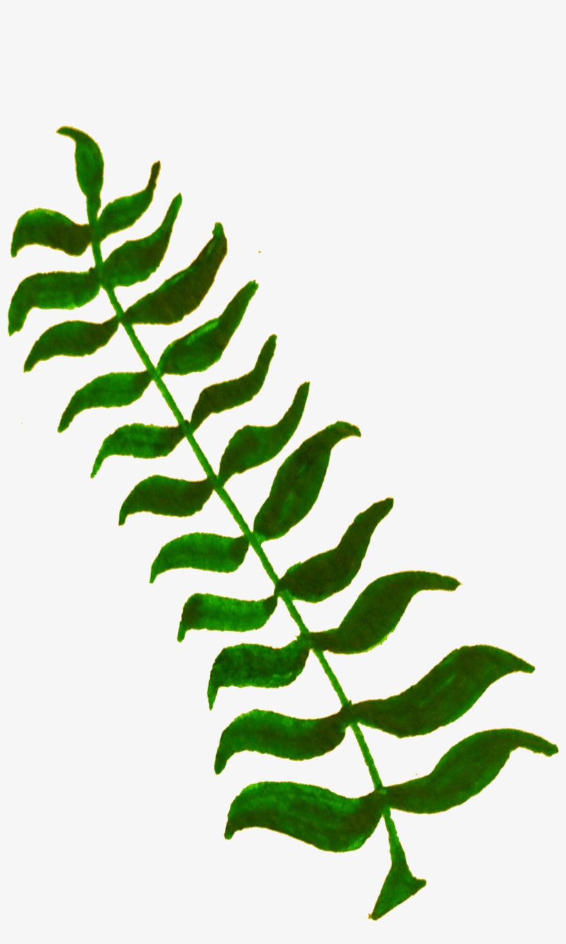 This Free Icons Png Design Of Calligraphic Illustration, transparent png