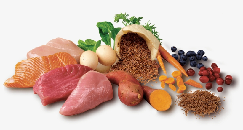 The Finest Natural Ingredients For Superior Nutrition - Natural Ingredients Dog Food, transparent png