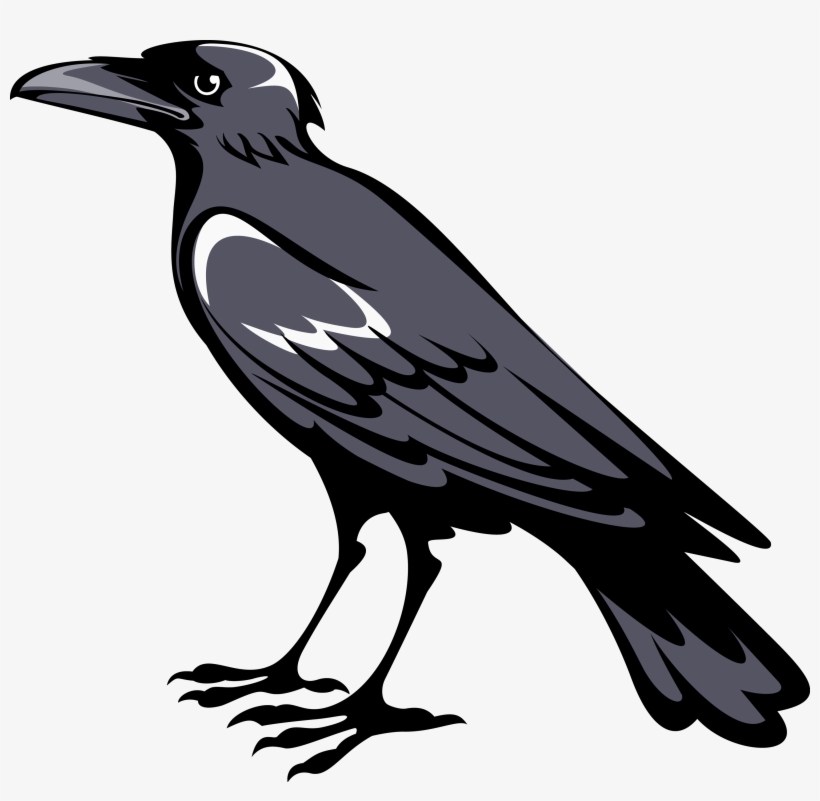 Raven/crow - Coat Of Arms Crow, transparent png