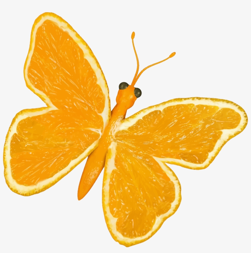 This Free Icons Png Design Of Citrus Fruit Butterfly, transparent png