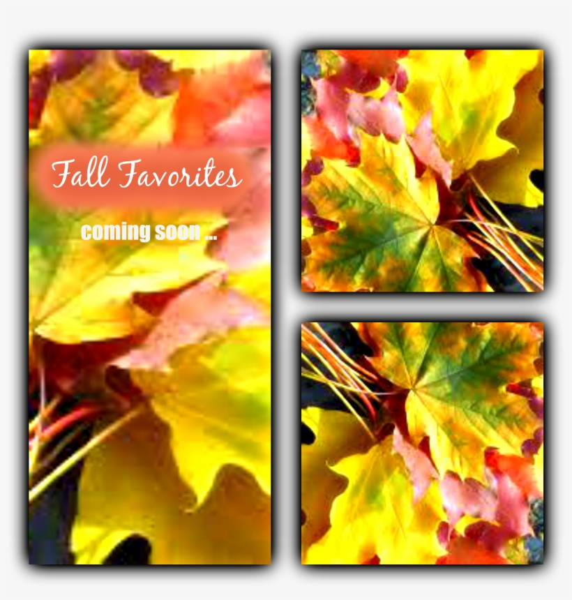 Fallfavorites - Fall Leaves, transparent png
