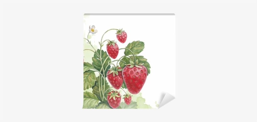 Les Trésors De Lily [m6793] Grand Plateau Fraisiers, transparent png