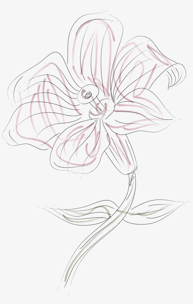 Graphic Freeuse Stock Painting Lilium Pattern Transprent - Drawing, transparent png
