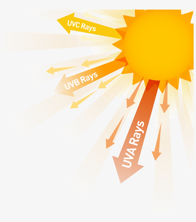 Top Five Questions On Skin Cancer - Ultraviolet Ray Clipart, transparent png