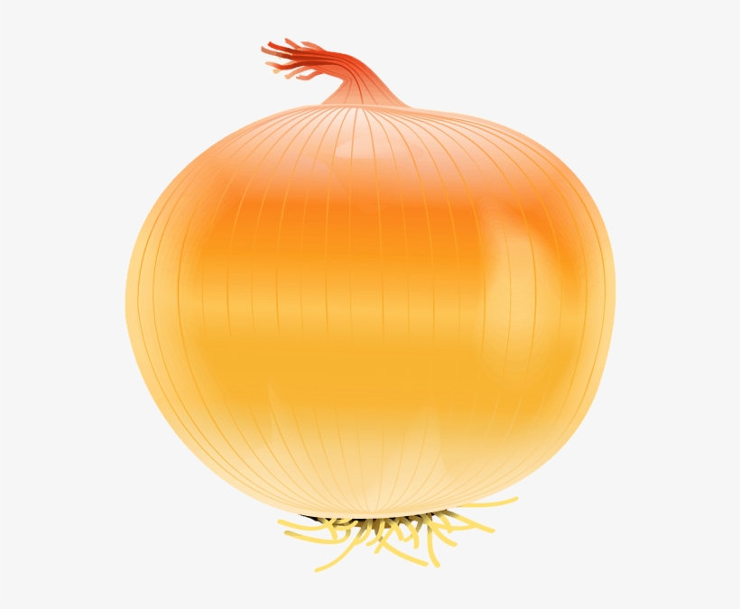 Onion - Clip Art Onion, transparent png