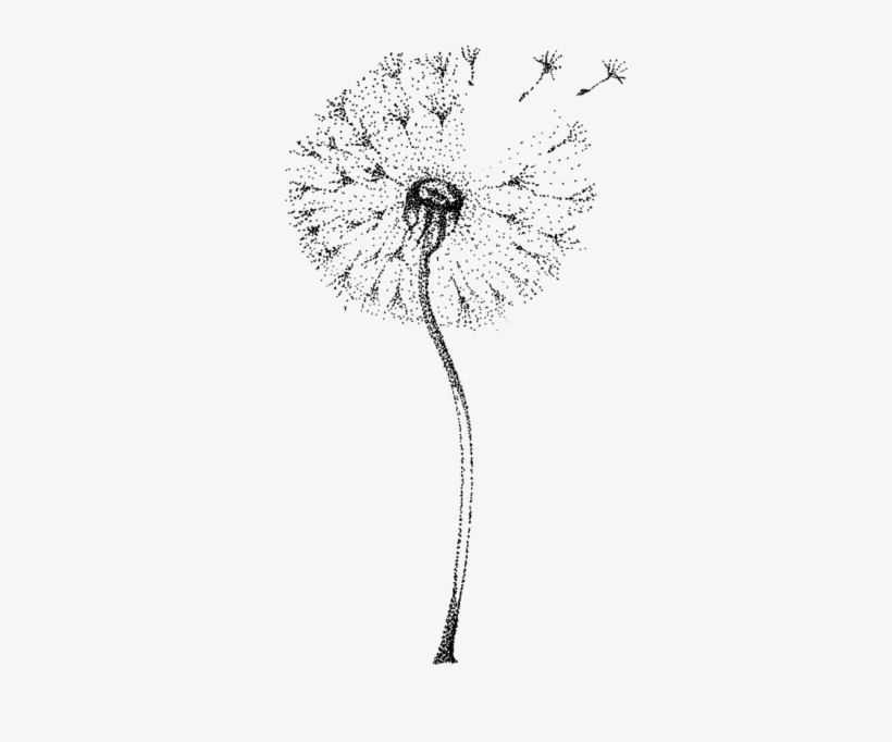 Bleed Area May Not Be Visible - Dandelion Watercolor Art Print Painting, transparent png