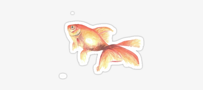 A Watercolor Goldfish Because Who Doesn't Need A Little - Goldfish, transparent png