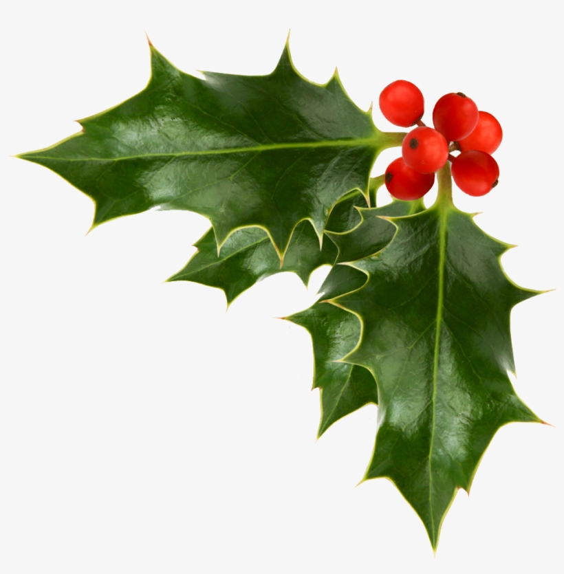 Holly Transparent Clipart Clipart K - Snowflake Earrings Silver Plated Studs, transparent png