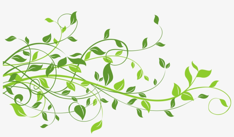 Spring Png, transparent png
