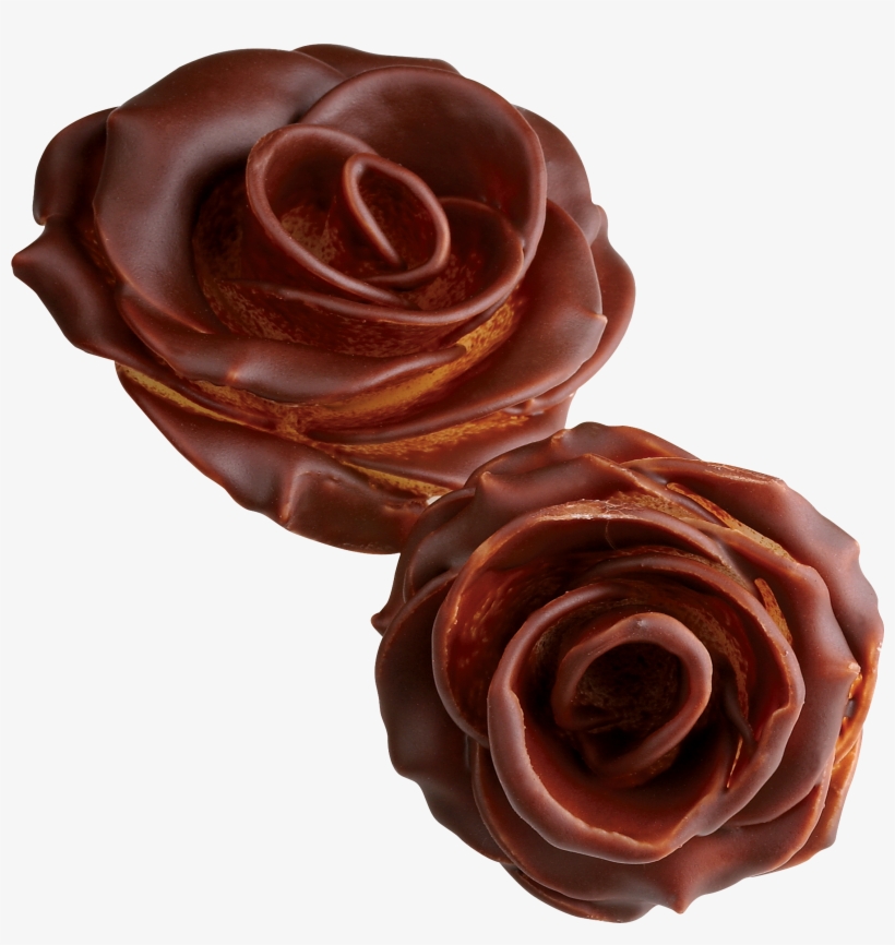 Guten Tag, transparent png