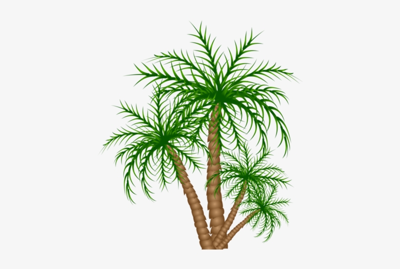 Congo Playfield Palm Trees - Palm Trees, transparent png