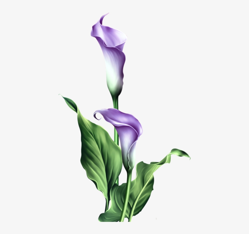 Purple Lily Easter Blessings Card, transparent png