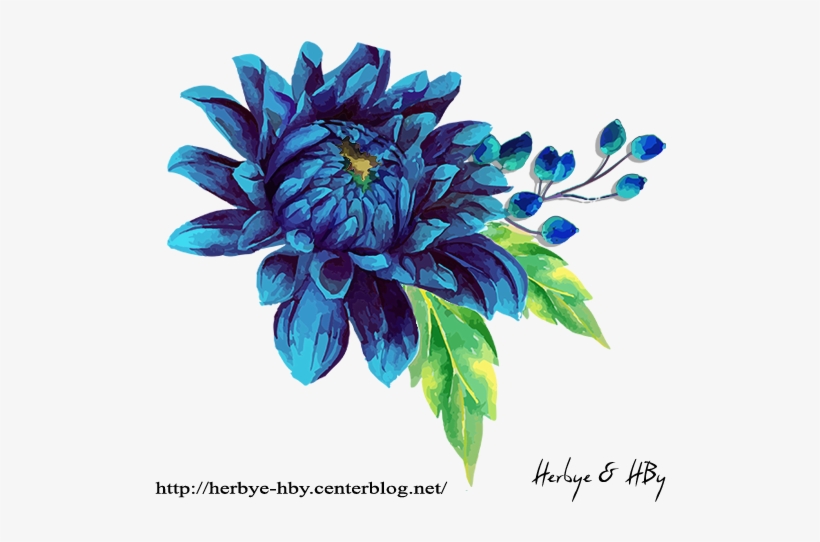 Visit - Dahlia, transparent png
