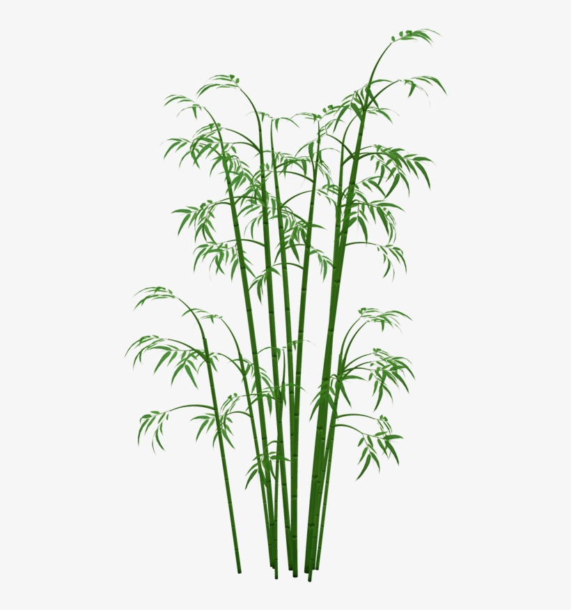 Bamboo Png Images Png Free - Bamboo Png, transparent png