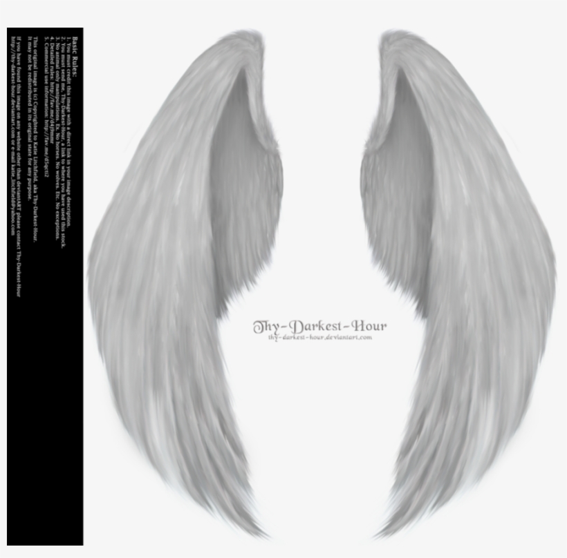 Angel Wings Png Clipart - Angel Wing Png, transparent png